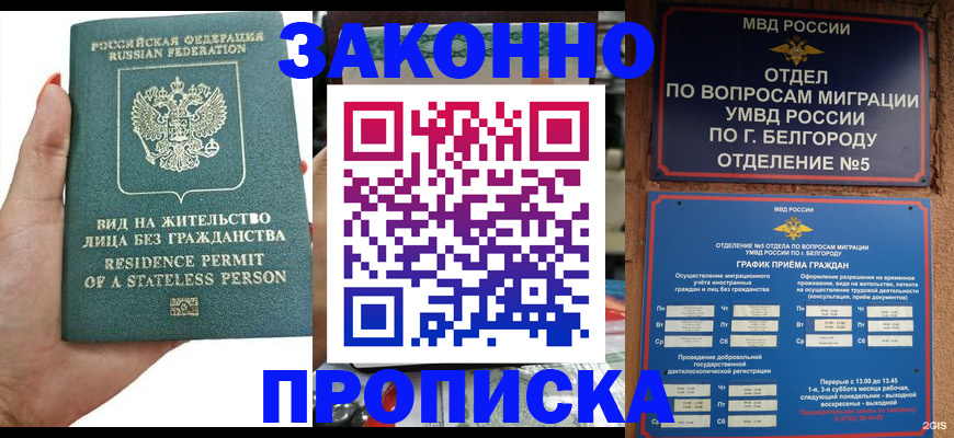 прописка для кредита в Ковылкино